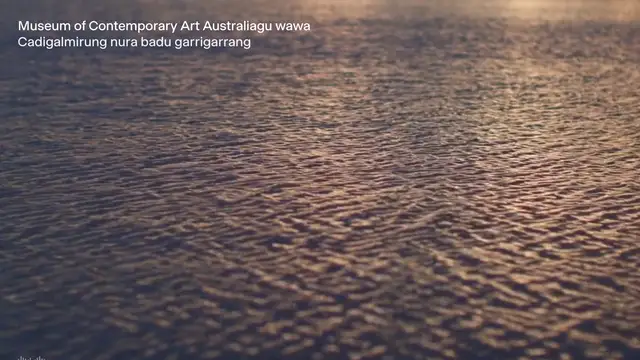 Museum of Contemporary Art Australia Website preview