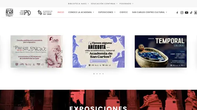 Academy of San Carlos Website preview