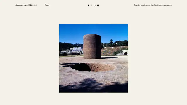 BLUM Website preview