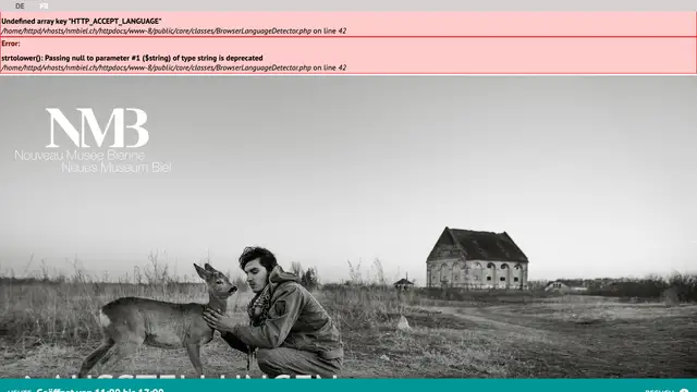 New Museum Biel Website preview