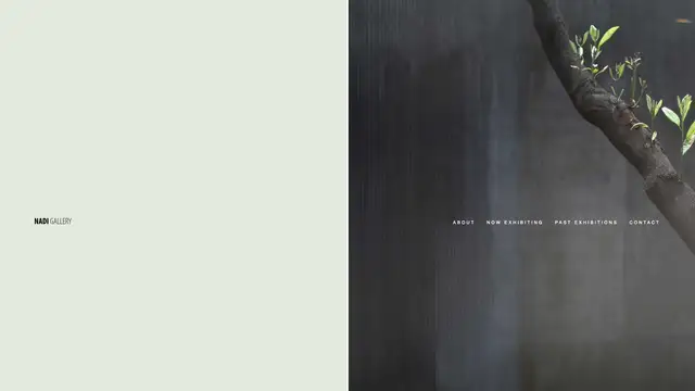 Nadi Gallery 網站預覽