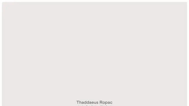 Thaddaeus Ropac Website preview