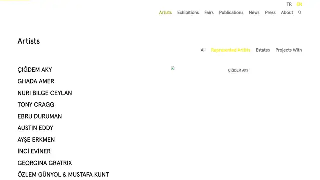 Dirimart Artists Website preview