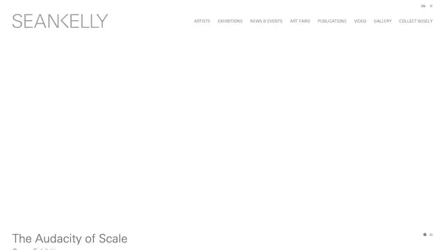 Sean Kelly Website preview