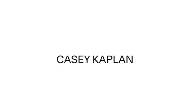 Casey Kaplan Website preview