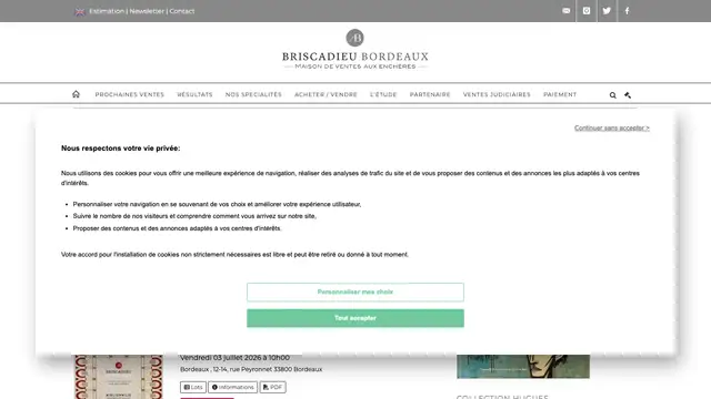 Briscadieu Bordeaux Website preview