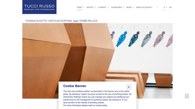 Tucci Russo Website preview
