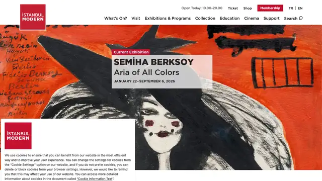 Istanbul Modern Shop Website preview