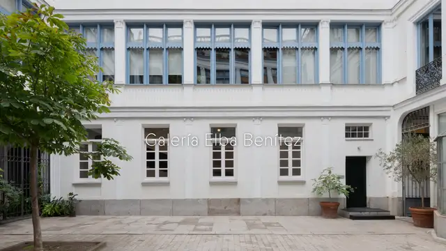 Galería Elba Benítez 웹사이트 미리보기
