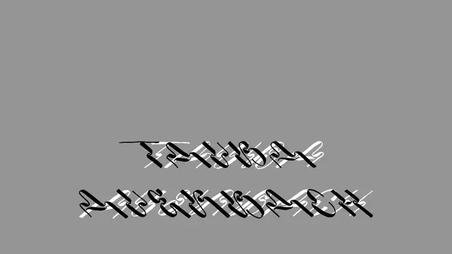 Tauba Auerbach Website preview